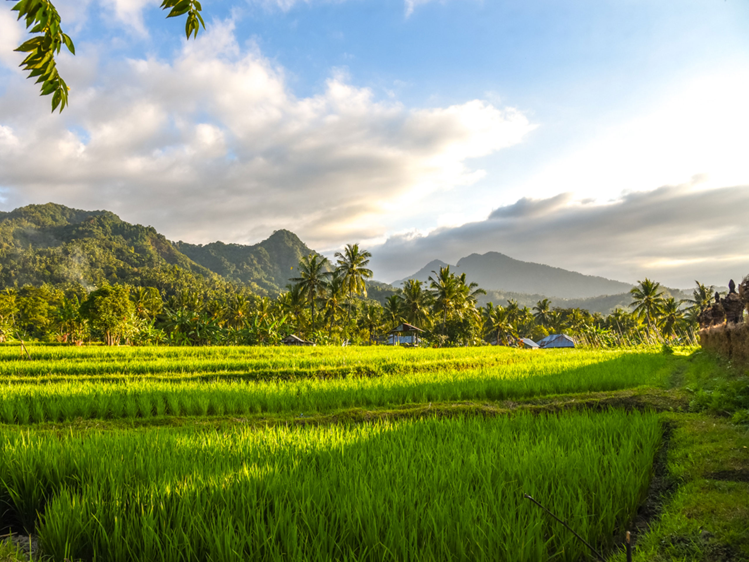 villa-manuk-trekking-20032025-1