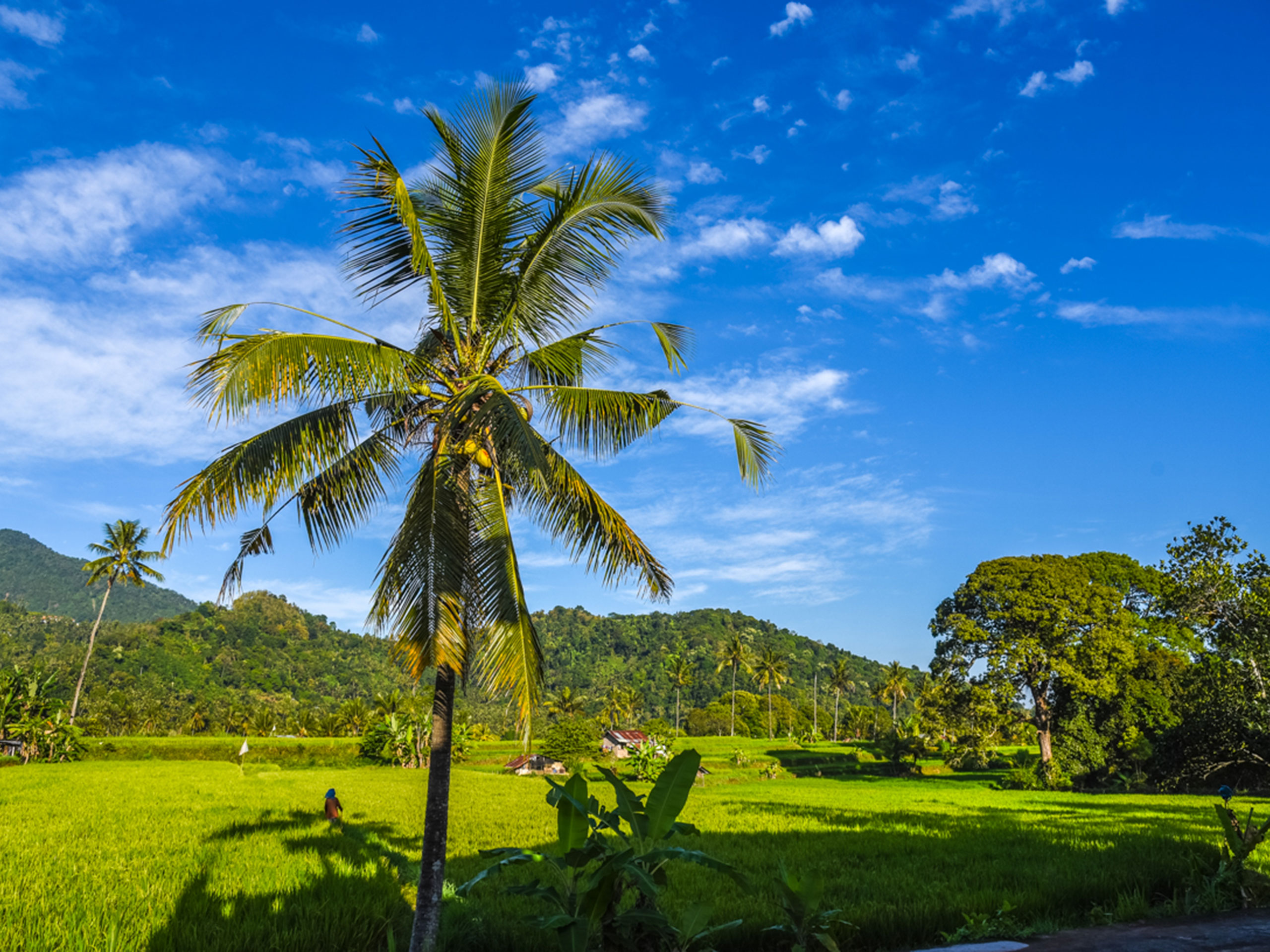 villa-manuk-trekking-20032025-3