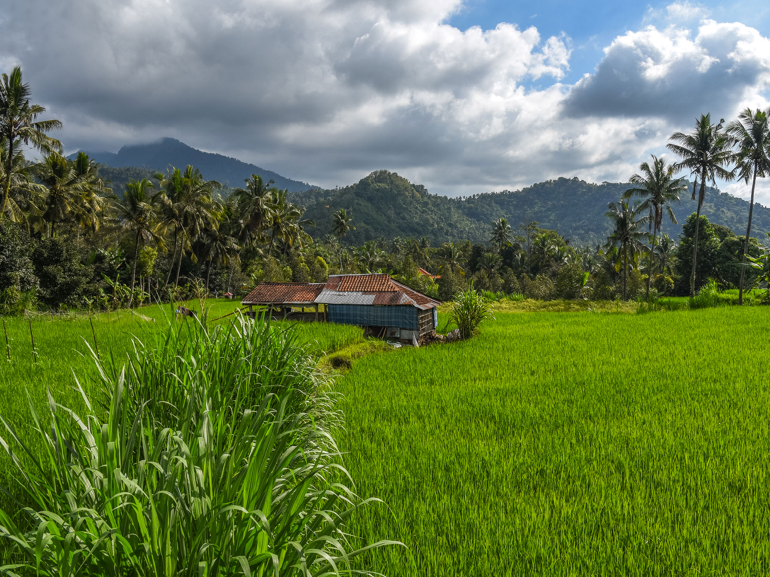 villa-manuk-trekking-20032025-5